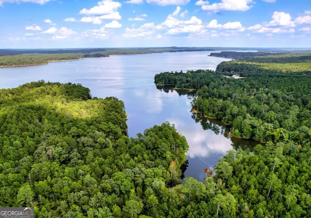 3rd image of 1416 Rock Point Cvs, Tignall, GA 30668 | MLS# 10813662