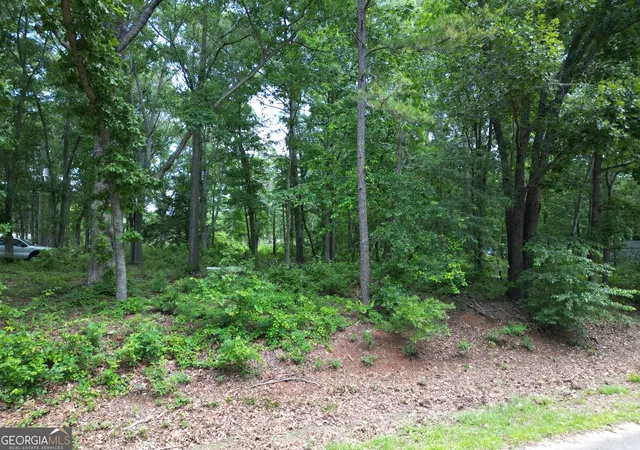 12th image of 0 Harrison Johnson Rd, Jefferson, GA 30549 | MLS# 10775316