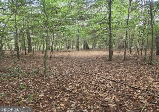Photo 2 of Land for sale at 0 Fairway Ln, Hawkinsville, GA 31036 | MLS# 10806937 | Listing updated on 2026-07-30