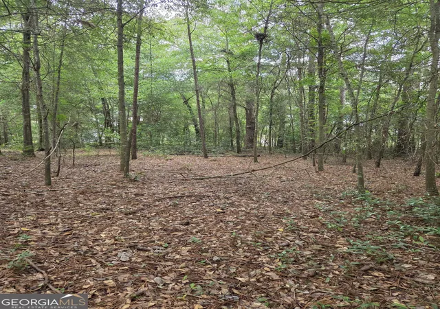 Photo 2 of Land for sale at 0 Fairway Ln, Hawkinsville, GA 31036 | MLS# 10806937 | Listing updated on 2026-07-30