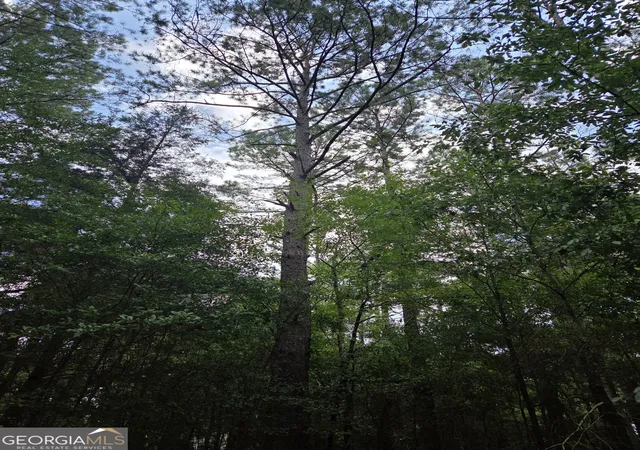 Photo 3 of Land for sale at 0 Fairway Ln, Hawkinsville, GA 31036 | MLS# 10806937 | Listing updated on 2026-07-30