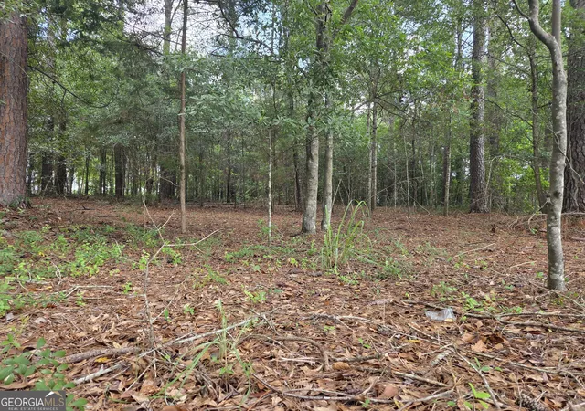 Photo 4 of Land for sale at 0 Fairway Ln, Hawkinsville, GA 31036 | MLS# 10806937 | Listing updated on 2026-07-30