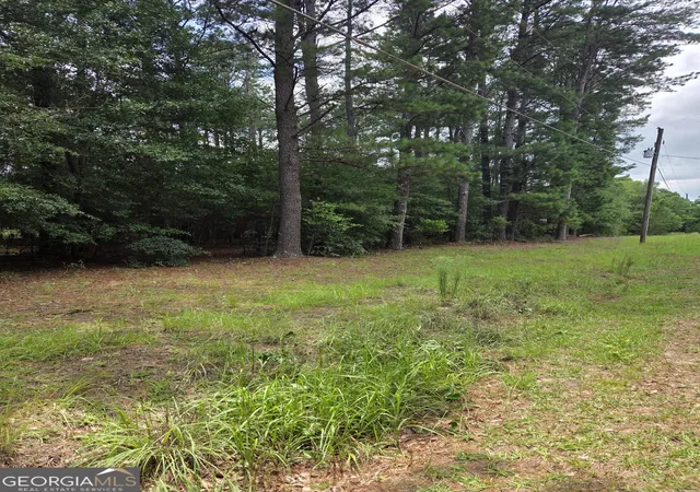Photo 7 of Land for sale at 0 Fairway Ln, Hawkinsville, GA 31036 | MLS# 10806937 | Listing updated on 2026-07-30