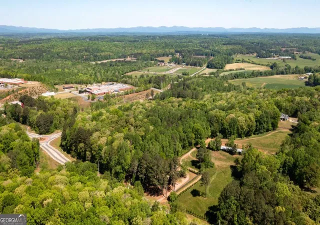 Homes for sale in Dawsonville, GA | 153 Dawson Forest Rd, Dawsonville, GA 30534 | MLS# 10737713