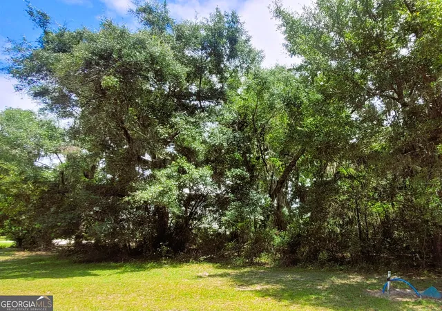 Homes for sale in Saint Marys, GA | 103 Carousers Cvs, Saint Marys, GA 31558 | MLS# 10798369