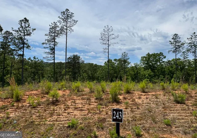 Photo 1 of Land for sale at Lot 243 Spear Point Dr, Talking Rock, GA 30175 | MLS# 10768345 | Listing updated on 2026-06-03