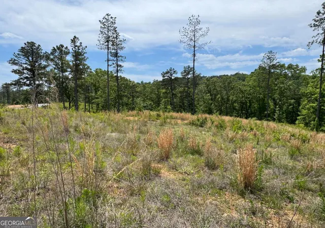 Photo 2 of Land for sale at Lot 243 Spear Point Dr, Talking Rock, GA 30175 | MLS# 10768345 | Listing updated on 2026-06-03