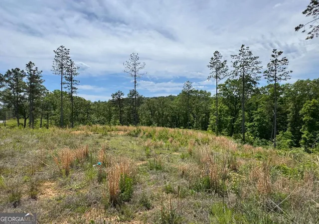 Photo 3 of Land for sale at Lot 243 Spear Point Dr, Talking Rock, GA 30175 | MLS# 10768345 | Listing updated on 2026-06-03