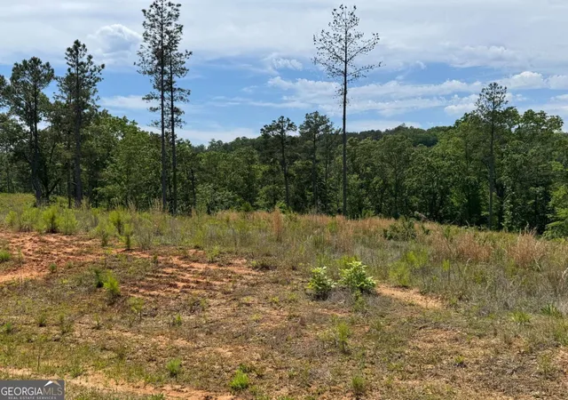 Photo 3 of Land for sale at Lot 243 Spear Point Dr, Talking Rock, GA 30175 | MLS# 10768345 | Listing updated on 2026-06-03