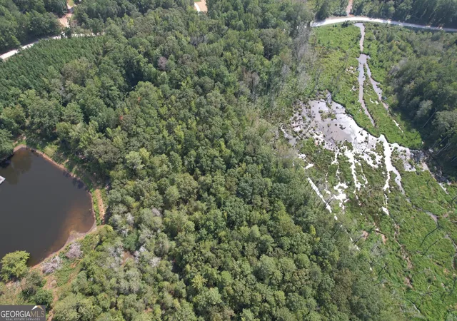 Photo 11 of Land for sale at Tract D Hunter Rd, Griffin, GA 30224 | MLS# 10626342 | Listing updated on 2025-10-16