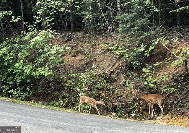 Photo 2 of Land for sale at 9 Dover Falls Trl, Ellijay, GA 30540 | MLS# 10835659 | Listing updated on 2026-09-11