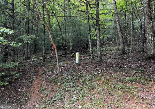 Photo 2 of Land for sale at 9 Dover Falls Trl, Ellijay, GA 30540 | MLS# 10835659 | Listing updated on 2026-09-11