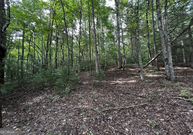 Photo 3 of Land for sale at 9 Dover Falls Trl, Ellijay, GA 30540 | MLS# 10835659 | Listing updated on 2026-09-11