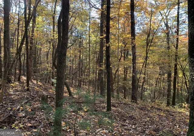 Photo 4 of Land for sale at 9 Dover Falls Trl, Ellijay, GA 30540 | MLS# 10835659 | Listing updated on 2026-09-11