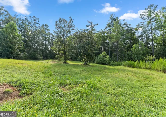 104th image of 4061,4063,4065, Historic Old Hwy 441, Clarkesville, GA 30523 | MLS# 10817968