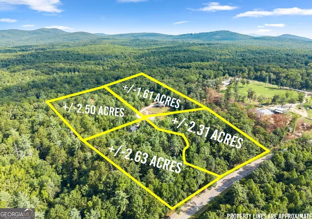3rd image of 4061,4063,4065, Historic Old Hwy 441, Clarkesville, GA 30523 | MLS# 10817968