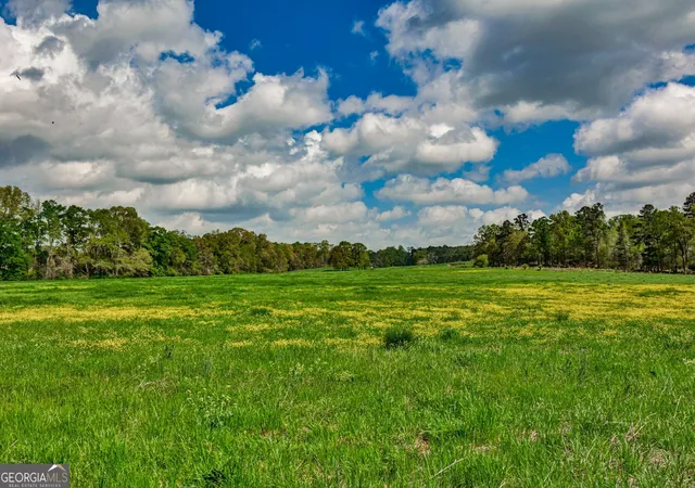Photo 1 of Land for sale at 4627 Highway 212, Covington, GA 30016 | MLS# 10502402 | Listing updated on 2026-04-11