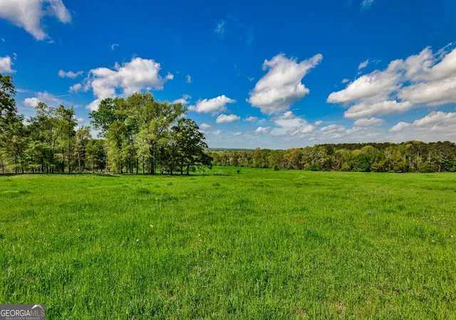 Photo 3 of Land for sale at 4627 Highway 212, Covington, GA 30016 | MLS# 10502402 | Listing updated on 2026-04-11