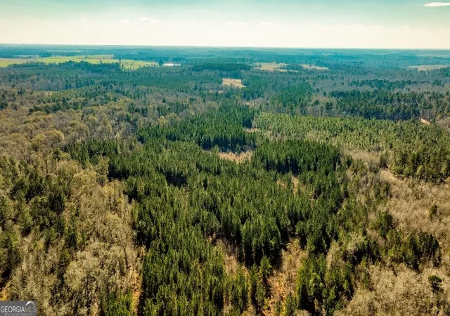 1st image of 0 Crooked Rd, Millen, GA 30442 | MLS# 10810824