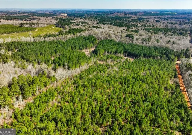 2nd image of 0 Crooked Rd, Millen, GA 30442 | MLS# 10810824