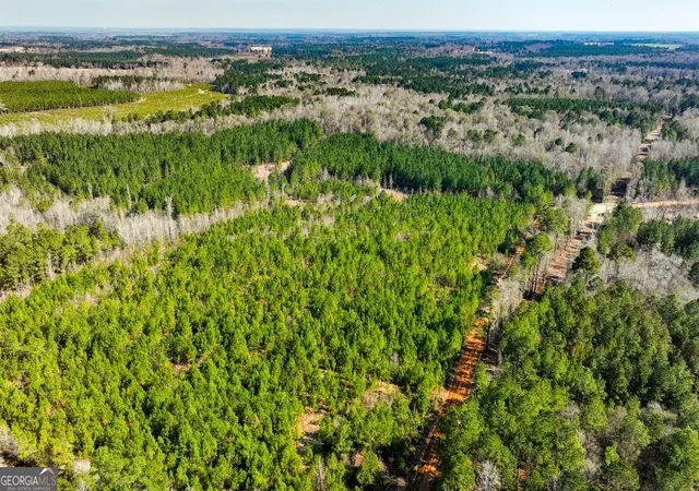 34th image of 0 Crooked Rd, Millen, GA 30442 | MLS# 10810824