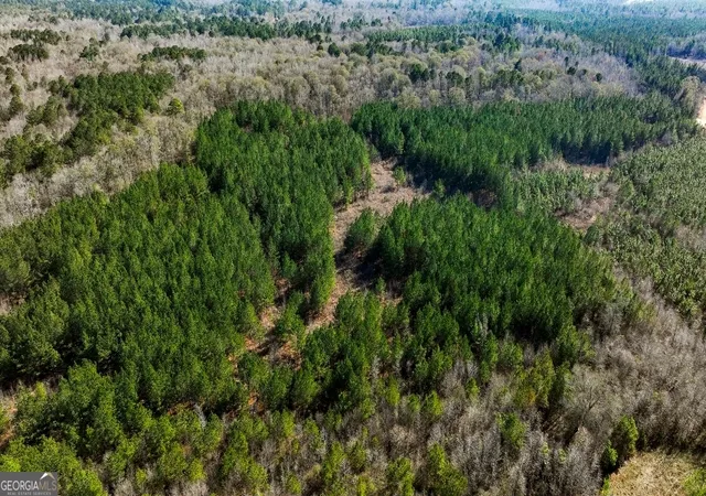 4th image of 0 Crooked Rd, Millen, GA 30442 | MLS# 10810824