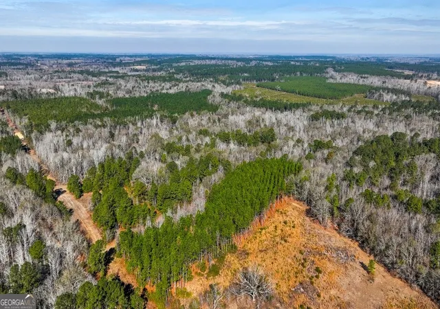 5th image of 0 Crooked Rd, Millen, GA 30442 | MLS# 10810824