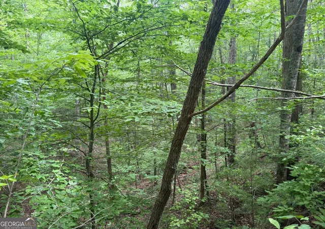Photo 1 of Land for sale at 1 Ac Spiva Cvs Cir, Blairsville, GA 30512 | MLS# 10781098 | Listing updated on 2026-06-22