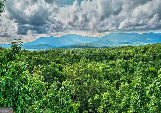 1st image of 1767 Ac Mcgruder Rd, Ellijay, GA 30536 | MLS# 10686932