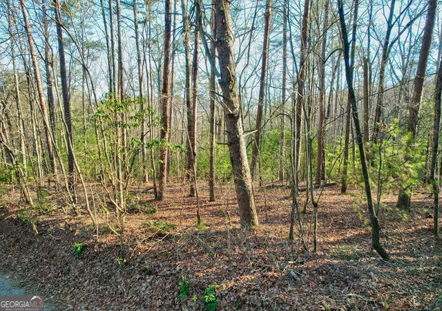 Photo 3 of Sale Pending at 1767 Ac Rainbow Ridge Rd, Ellijay, GA 30536 | MLS# 10686932 | Listing updated on 2026-04-29