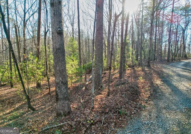 Photo 4 of Sale Pending at 1767 Ac Rainbow Ridge Rd, Ellijay, GA 30536 | MLS# 10686932 | Listing updated on 2026-04-29
