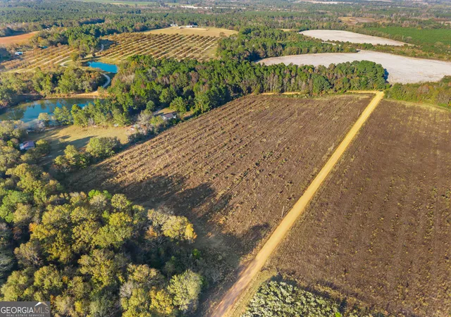 Homes for sale in Claxton, GA | 0 Waters Ln #LOT 5, Claxton, GA 30417 | MLS# 10786601
