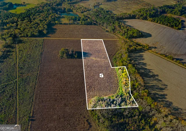 Homes for sale in Claxton, GA | 0 Waters Ln #LOT 5, Claxton, GA 30417 | MLS# 10786601