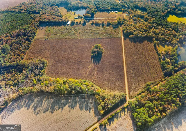 Photo 3 of Sale Pending at 0 Waters Ln #LOT 5, Glennville, GA 30427 | MLS# 10786601 | Listing updated on 2026-07-22