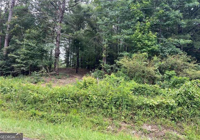 Photo 1 of Land for sale at 3963 Dabbs Brg Rd, Acworth, GA 30101 | MLS# 10805372 | Listing updated on 2026-07-28