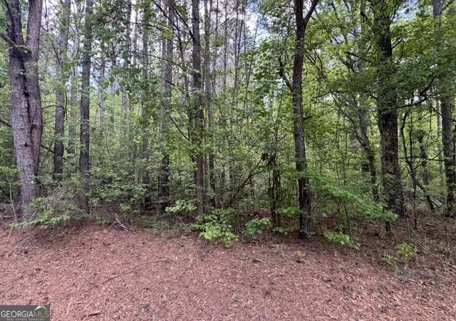 Photo 15 of Land for sale at N Of 482 Antioch Rd 25596 Acres #- 25.596 ACRES, Fayetteville, GA 30215 | MLS# 10736422 | Listing updated on 2026-09-08