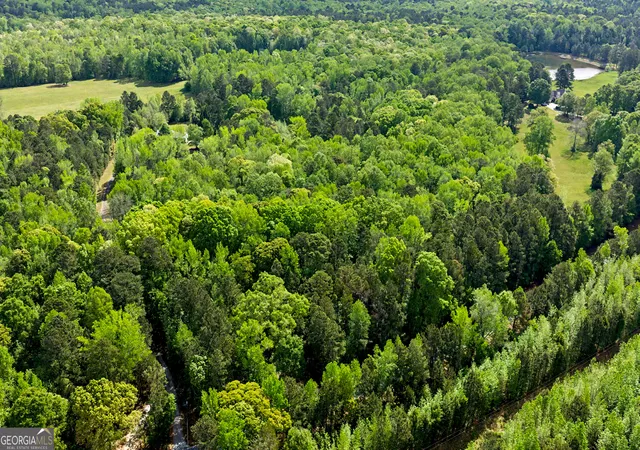 Photo 2 of Land for sale at N Of 482 Antioch Rd 25596 Acres #- 25.596 ACRES, Fayetteville, GA 30215 | MLS# 10736422 | Listing updated on 2026-09-08