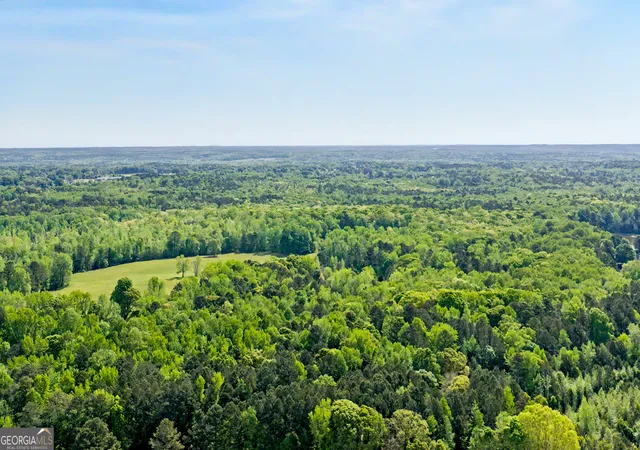 Photo 2 of Land for sale at N Of 482 Antioch Rd 25596 Acres #- 25.596 ACRES, Fayetteville, GA 30215 | MLS# 10736422 | Listing updated on 2026-09-08