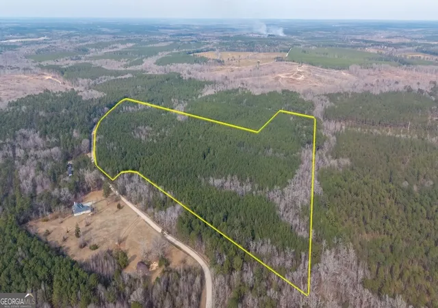Homes for sale in Crawfordville, GA | 0 Saint Mary's Road #UNIT A, Crawfordville, GA 30631 | MLS# 10786184