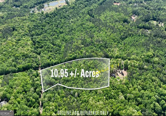 1st image of 0 Hwy 54 #10.95+/- AC, Senoia, GA 30276 | MLS# 10821675