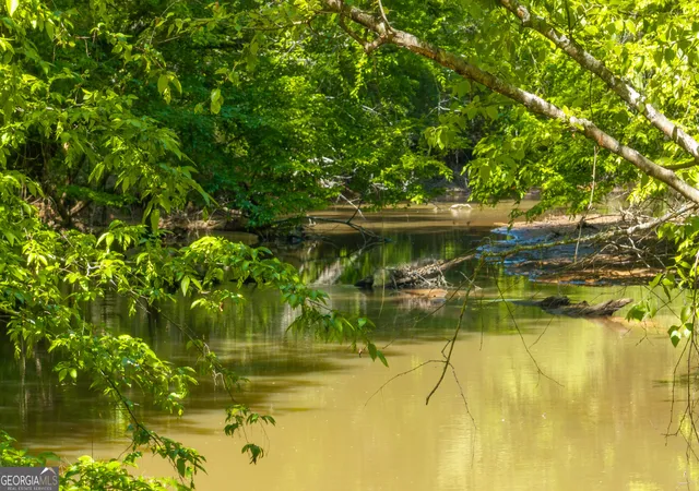 25th image of 0 Hwy 54 #10.95+/- AC, Senoia, GA 30276 | MLS# 10821675