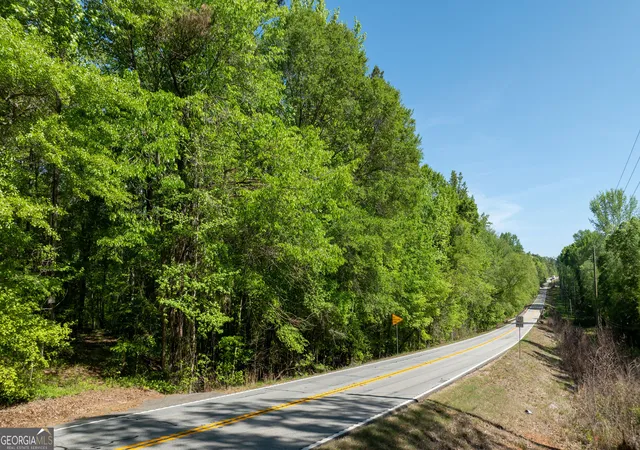 2nd image of 0 Hwy 54 #10.95+/- AC, Senoia, GA 30276 | MLS# 10821675