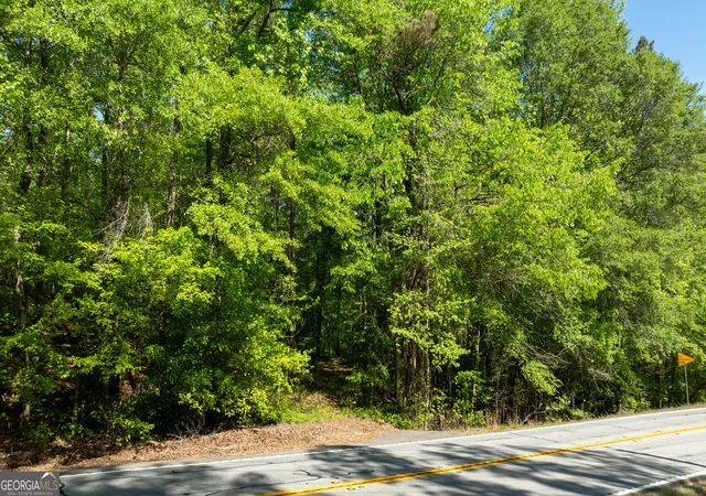 Photo 3 of Land for sale at 0 Highway 54, Senoia, GA 30276 | MLS# 10821675 | Listing updated on 2026-08-21