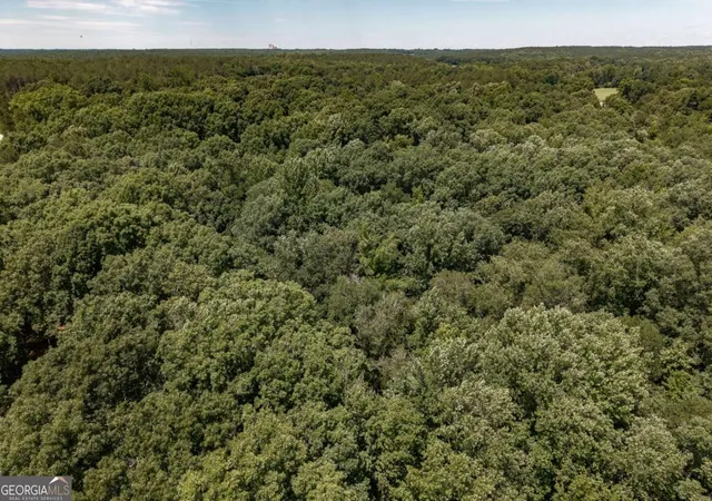 Homes for sale in Comer, GA | 436 Watson Mill Rd, Comer, GA 30629 | MLS# 10788694
