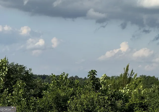 2nd image of 0 Co Rd 49, Muscadine, AL 36269 | MLS# 10775803