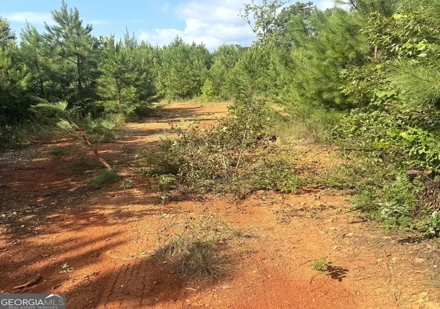 3rd image of 0 Co Rd 49, Muscadine, AL 36269 | MLS# 10775803