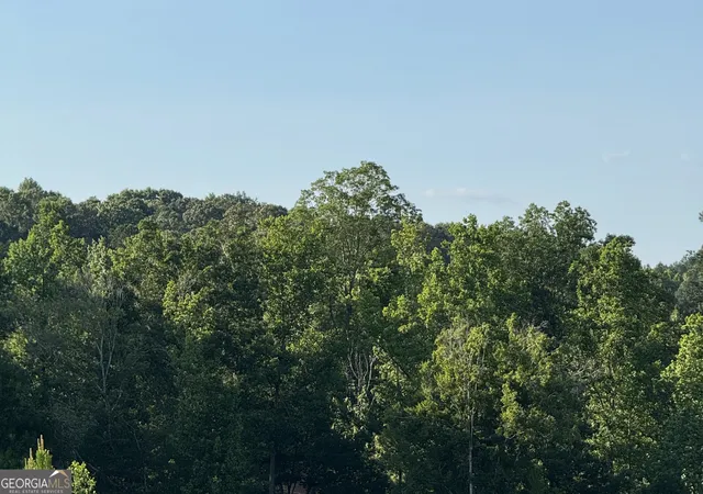 4th image of 0 Co Rd 49, Muscadine, AL 36269 | MLS# 10775803