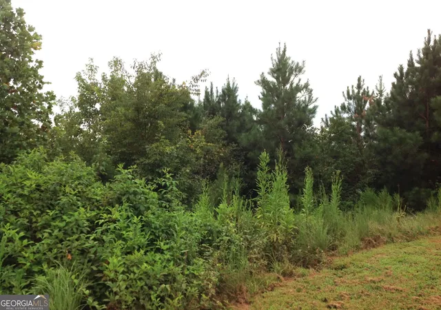 Photo 4 of Land for sale at 0 Co Rd 49, Muscadine, AL 36269 | MLS# 10775803 | Listing updated on 2026-09-03