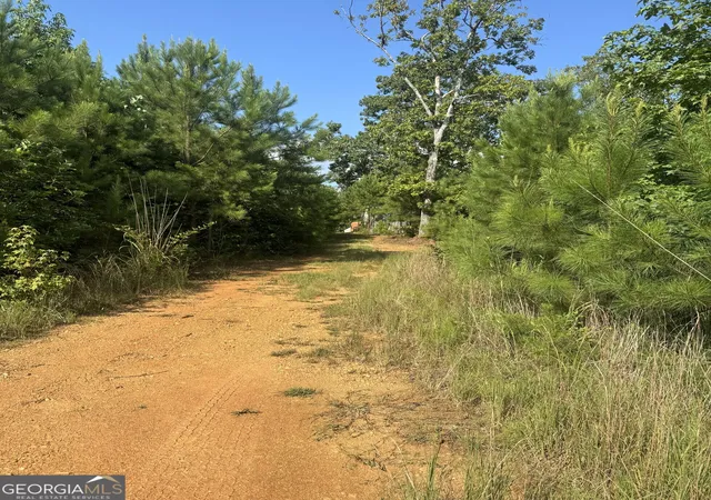 5th image of 0 Co Rd 49, Muscadine, AL 36269 | MLS# 10775803