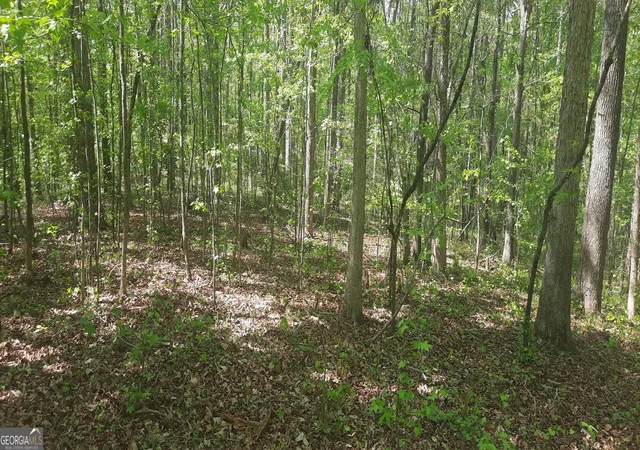 Photo 2 of Land for sale at 11300 Azalea Trl, Hampton, GA 30228 | MLS# 10728033 | Listing updated on 2026-09-09